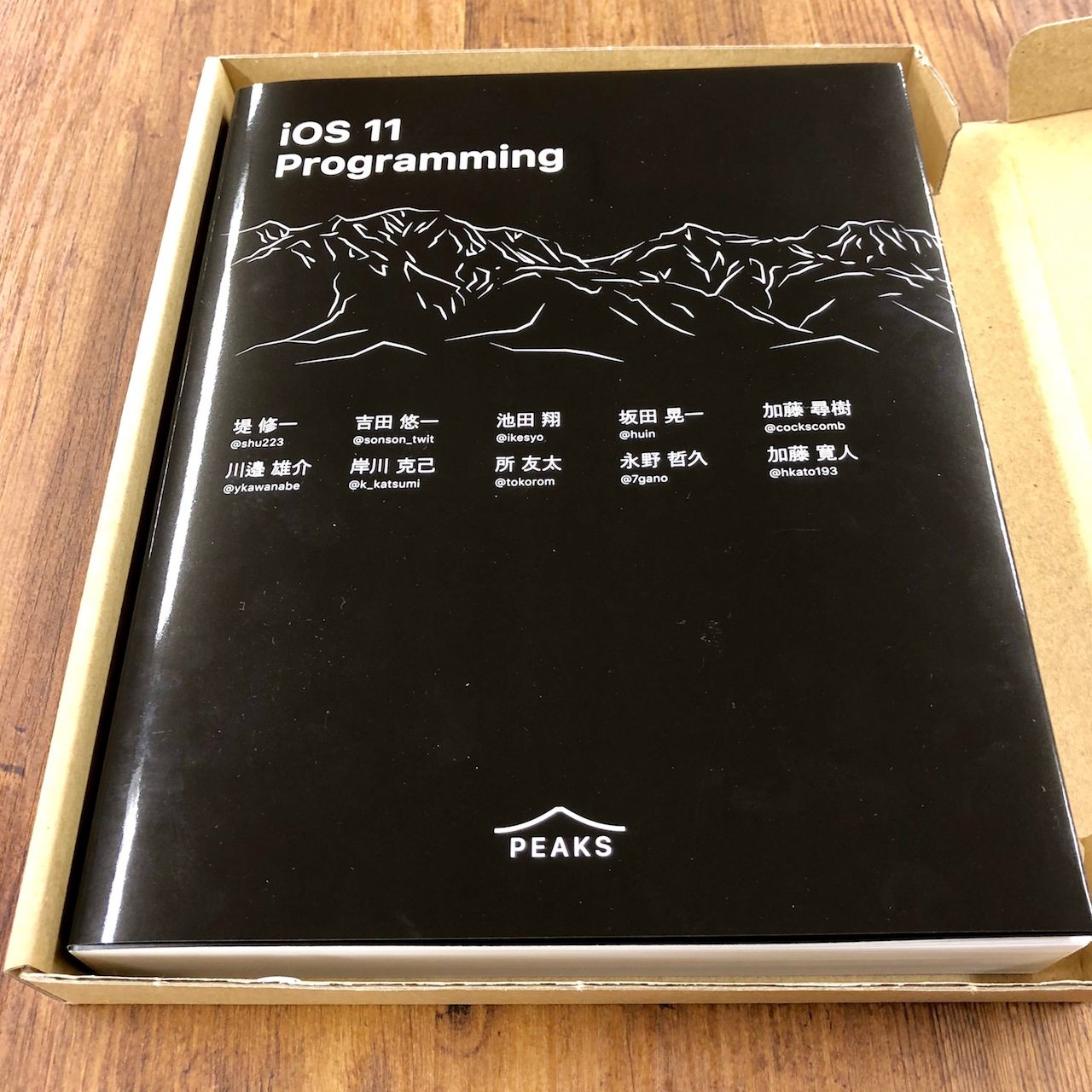 iOS 11 Programming を共著で執筆しました