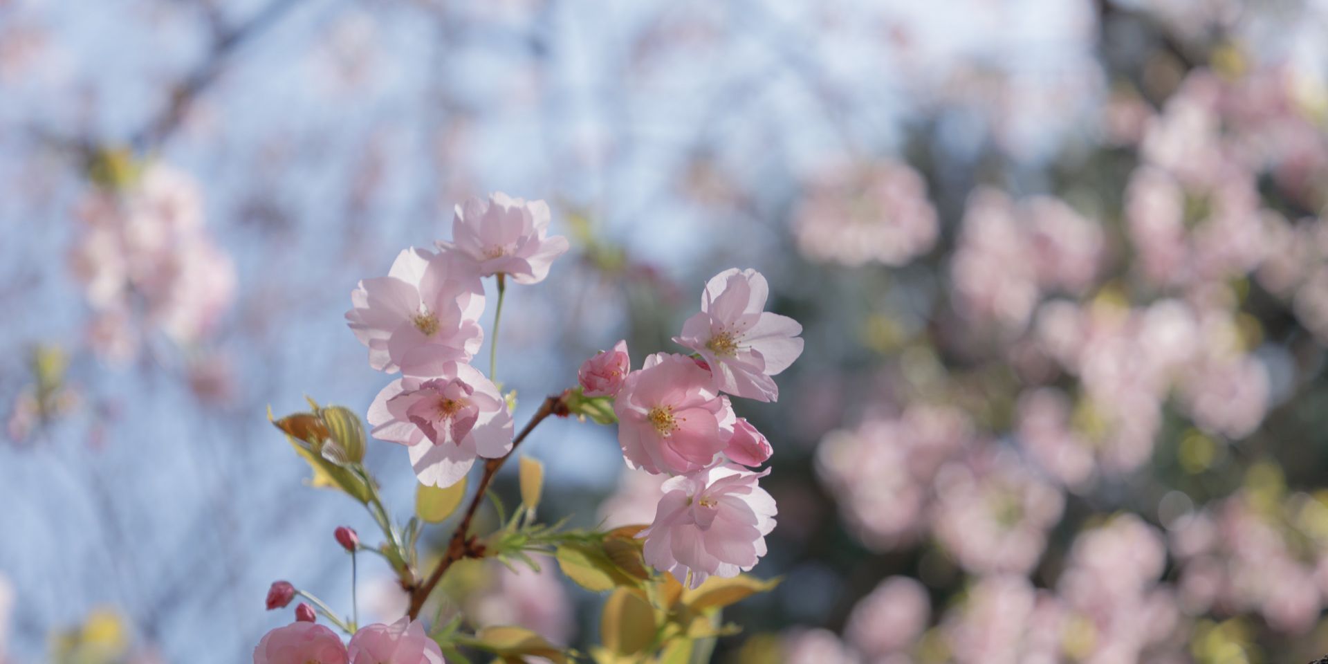hey に入社しました