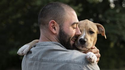 Pawseum centraliza animais disponíveis para adoção em Portugal