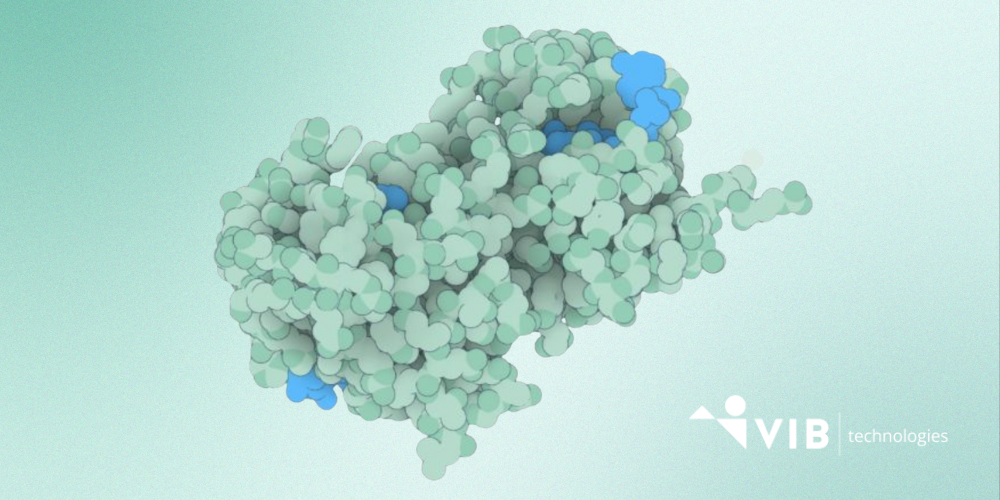 An enzyme strucutre agains a green background