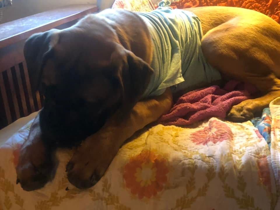 No, they're not all going to be sad or angry.