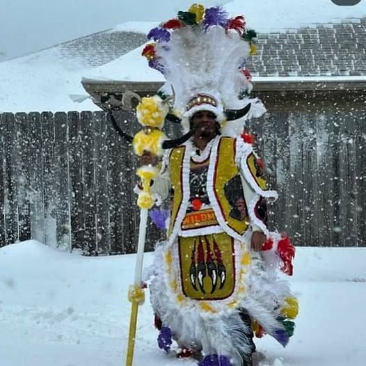 Shrove Sunday: This freshening wind blew sideways through the yard