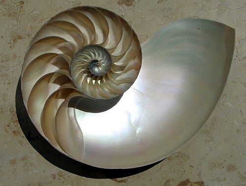 What Erosion Can Teach Us About Flow, Spirals, and Our Economy — Paul Krafel