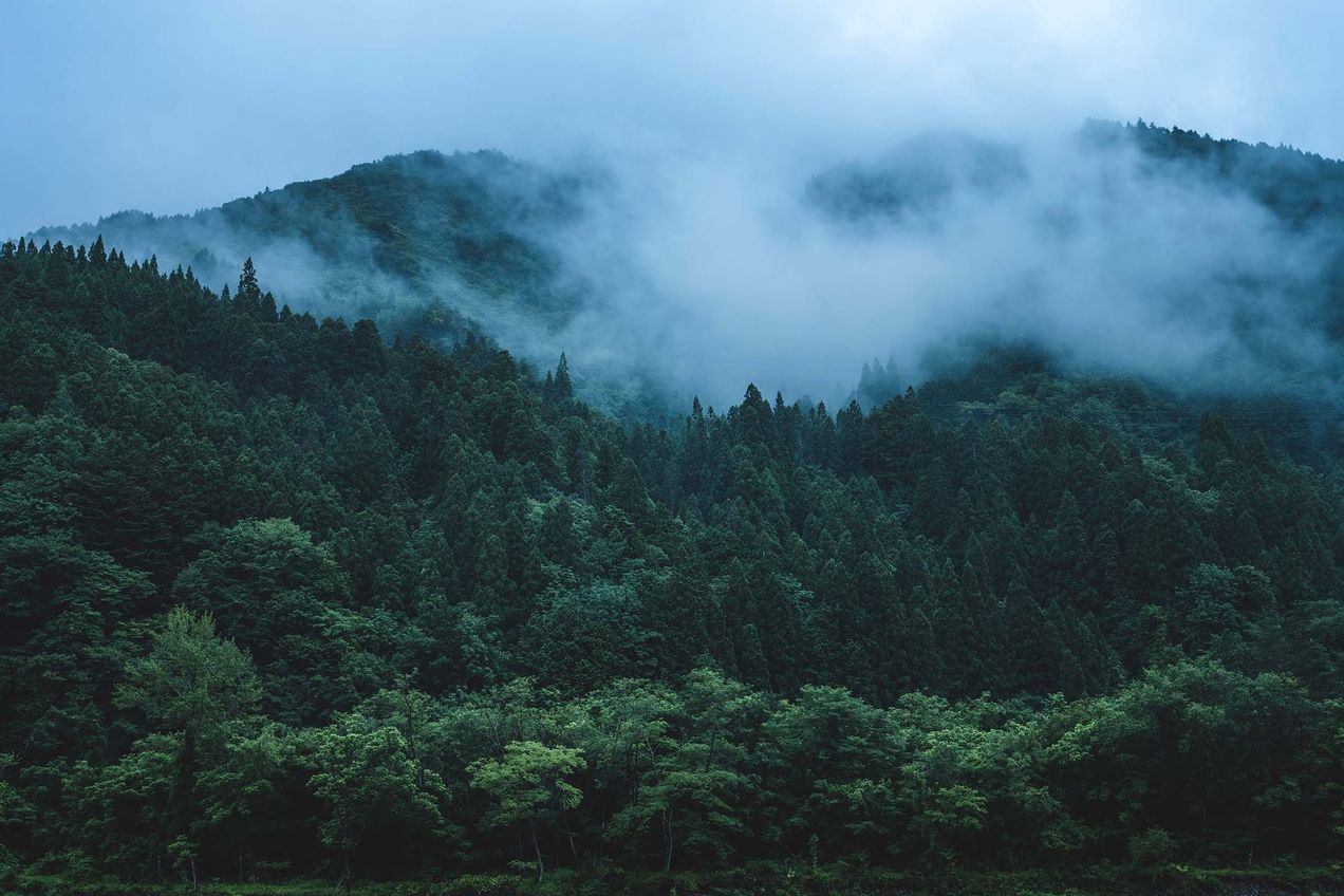 Meet the Woodworkers of Hida Takayama