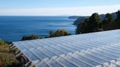 Where to Put the Bench: Hiroshi Sugimoto Frames a Hillside