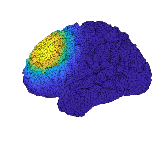 Masterclass on neurobiological networks