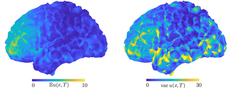 Preprints on Uncertainty Quantification for Neural Fields with random data