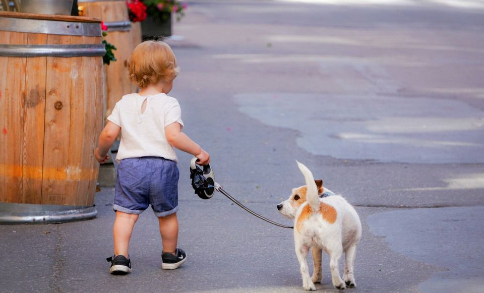 HighLevel for Dog Walkers & Pet Sitters: Book Clients, Manage Visits and Keep Pet Parents in the Loop