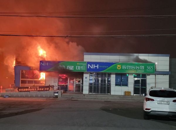 Wildfire Totally Not Because of a Shamanistic Ritual, Says the Presidential Office