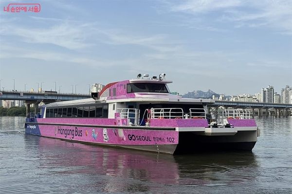 O Se-hun’s Han River Bus Flops