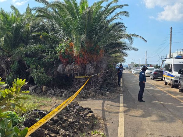 Mishandled Missing Persons Leave Jeju Slandered