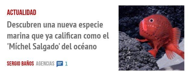 ACTUALIDAD. Descubren una nueva especie marina que ya califican como el 'Míchel Salgado' del océano