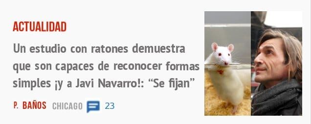 ACTUALIDAD. Un estudio con ratones demuestra que son capaces de reconocer formas simples i)' a Javi Navarro!: "Se fijan"
