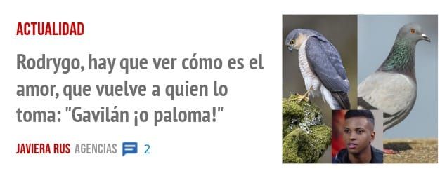ACTUALIDAD. Rodrygo, hay que ver cómo es el amor, que vuelve a quien 10 toma: "Gavilán iO paloma!"