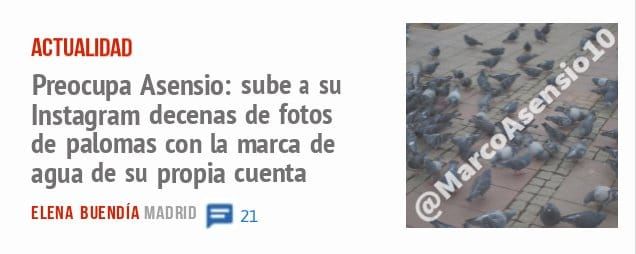 ACTUALIDAD. Preocupa Asensio: sube a su Instagram decenas de fotos de palomas con la de agua de su propia cuenta