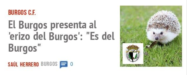 BURGOS C.F.. El Burgos presenta al 'erizo del Burgos': "Es del Burgos"