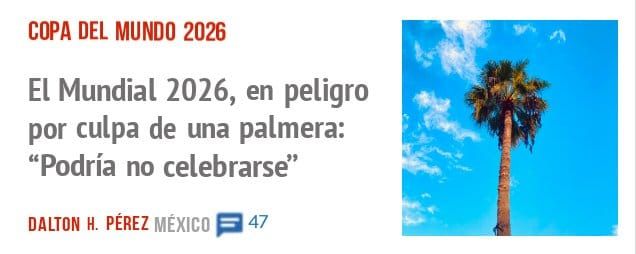 COPA DEL MUNDO 2026. El Mundial 2026, en peligro por culpa de una palmera: "Podría no celebrarse"