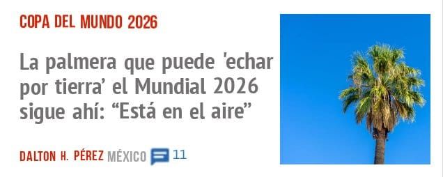 COPA DEL MUNDO 2026. La palmera que puede 'echar por tierra' el Mundial 2026 sigue ahí: "Está en el aire"