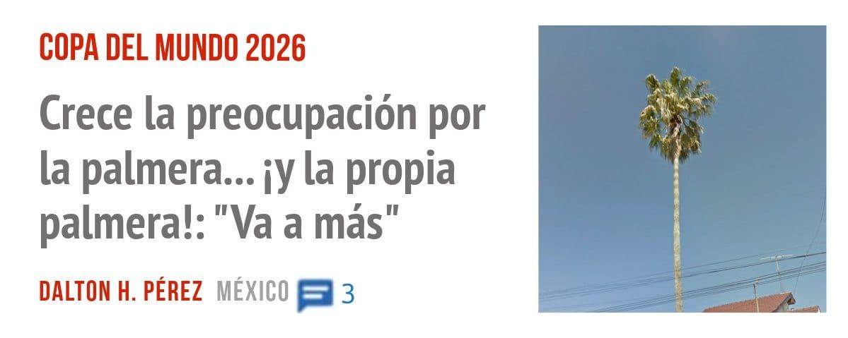 COPA DEL MUNDO 2026. Crece la preocupación por la palmera... iy la propia palmera!: "Va a más"
