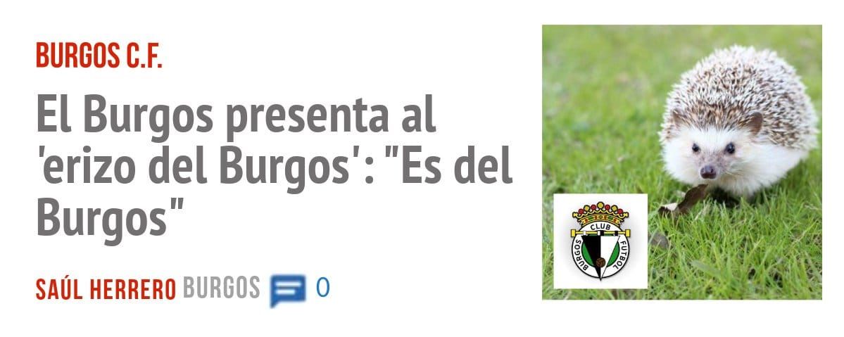 BURGOS C.F.. El Burgos presenta al 'erizo del Burgos': "Es del Burgos"