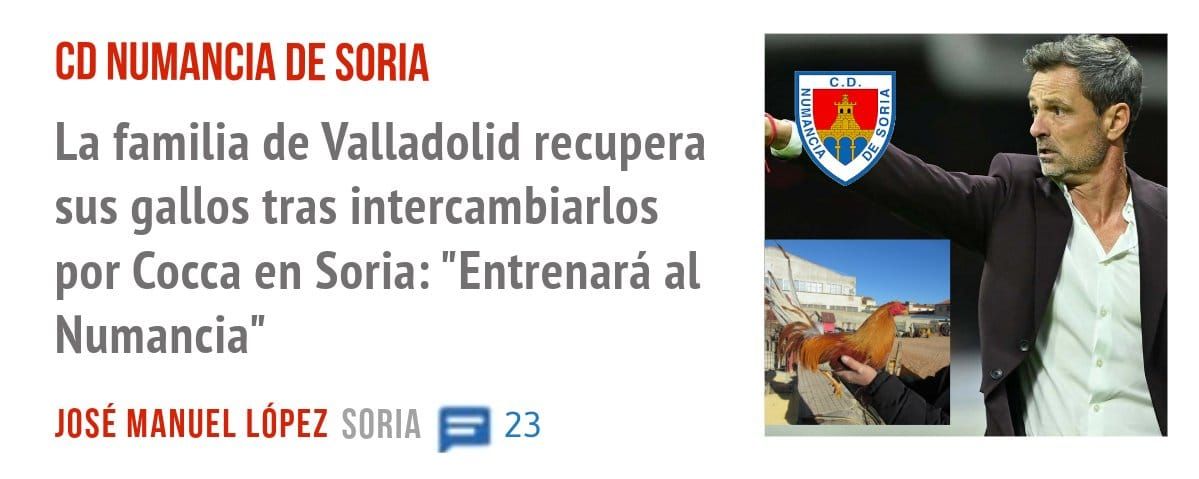 CD NUMANCIA DE SORIA. La familia de Valladolid recupera sus gallos tras intercambiarlos por Cocca en Soria: "Entrenará al Numancia"