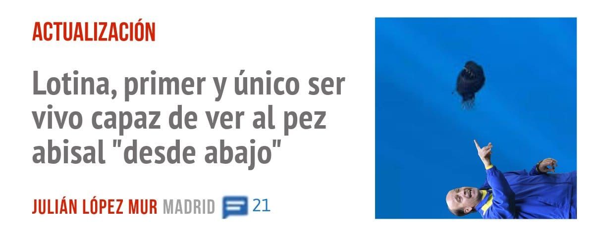 ACTUALIZACIÓN. Lotina, primer y único ser vivo capaz de ver al pez abisal "desde abajo"