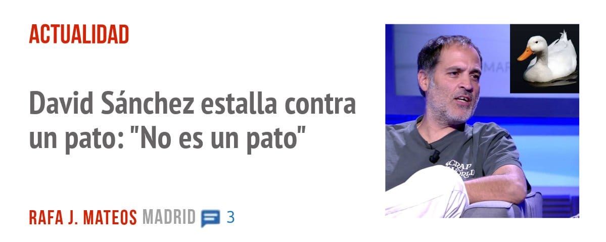 ACTUALIDAD. David Sánchez estalla contra un pato: "No es un patol'
