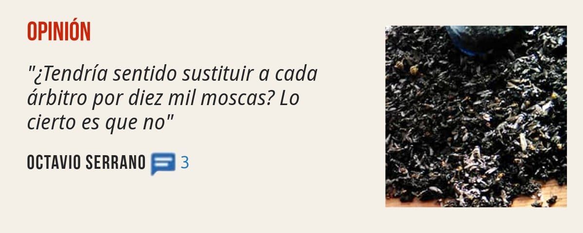 OPINIÓN. "¿Tendría sentido sustituir a cada árbitro por diez mil moscas? Lo cierto es que no" OCTAVIO SERRANO