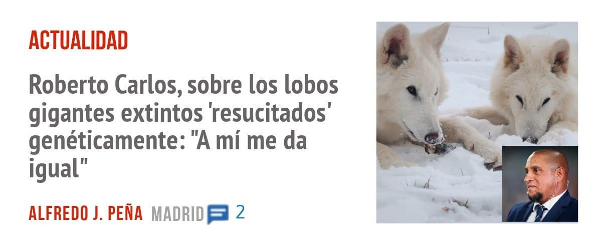 ACTUALIDAD. Roberto Carlos, sobre los lobos gigantes extintos 'resucitados' genéticamente: "A mí me da igual"