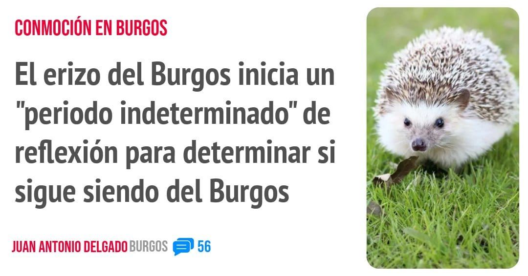 CONMOCIÓN EN BURGOS. El erizo del Burgos inicia un "periodo indeterminado" de reflexión para determinar si sigue siendo del Burgos