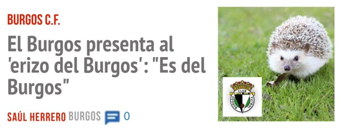 BURGOS C.F.. El Burgos presenta al 'erizo del Burgos': "Es del Burgos"