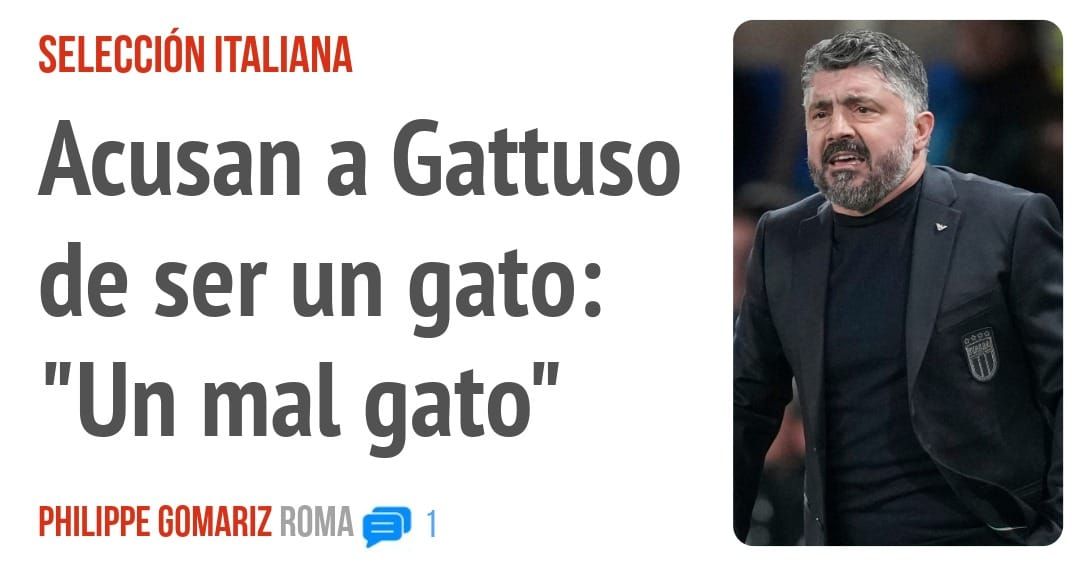 SELECCIÓN ITALIANA. Acusan a Gattuso de ser un gato: "Un mal gato"