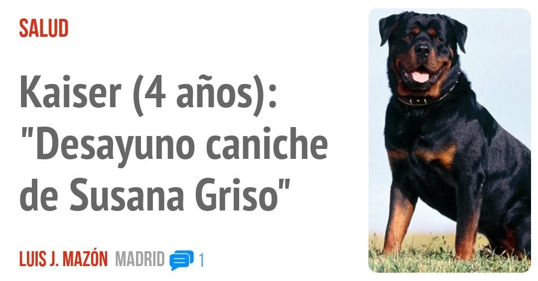 SALUD. Kaiser (4 años): "Desayuno caniche de Susana Griso"