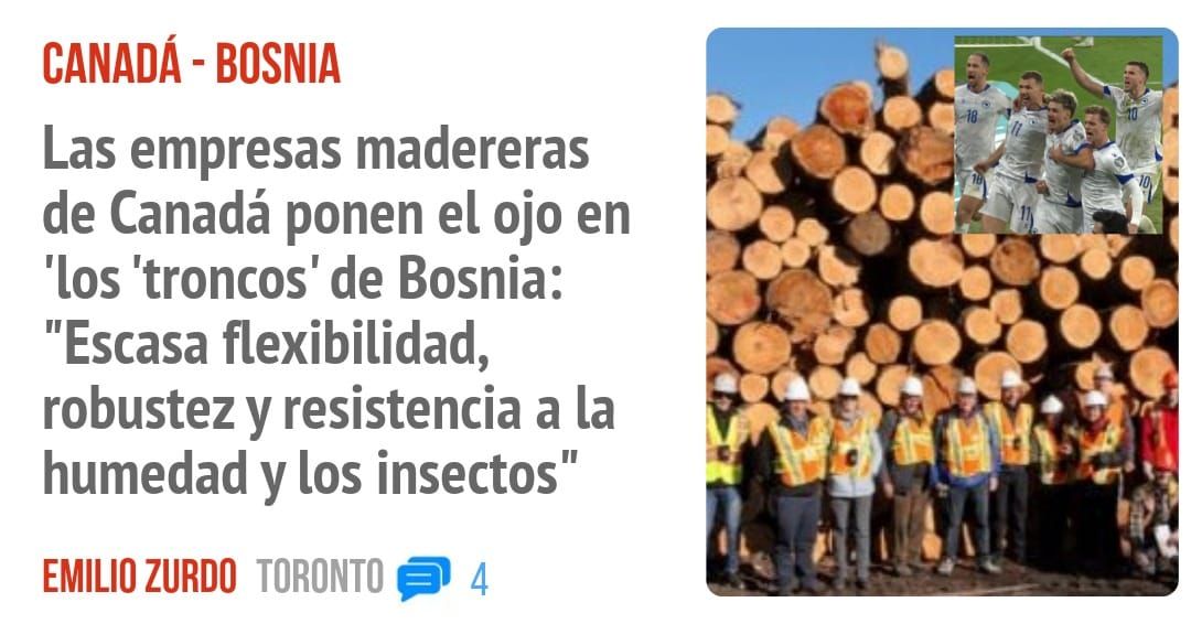 CANADÁ - BOSNIA. Las empresas madereras de Canadá ponen el ojo en 'los 'troncos' de Bosnia: "Escasa flexibilidad, robustez y resistencia a la humedad y los insectos"