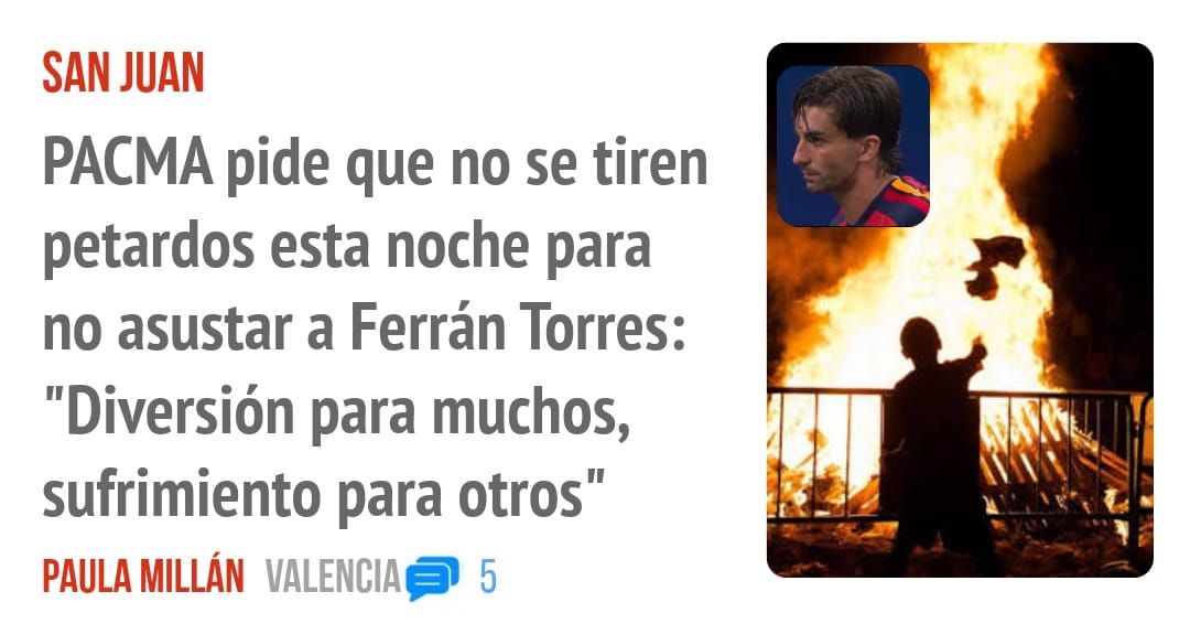 SAN JUAN. PACMA pide que no se tiren petardos esta noche para no asustar a Ferrán Torres: "Diversión para muchos, sufrimiento para otros"