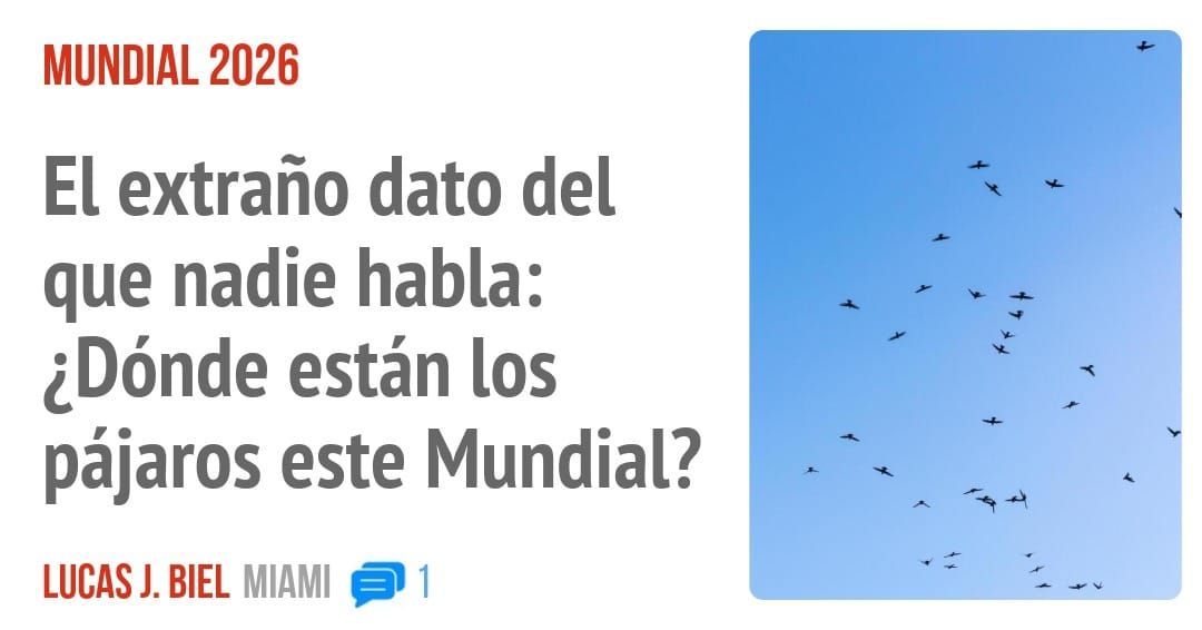 MUNDIAL 2026. El extraño dato del que nadie habla: ¿Dónde están los pájaros este Mundial?