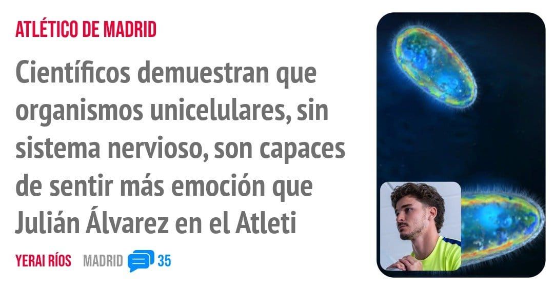 ATLÉTICO DE MADRID. Científicos demuestran que organismos unicelulares, sin sistema nervioso, son capaces de sentir más emoción que Julián Álvarez en el Atleti
