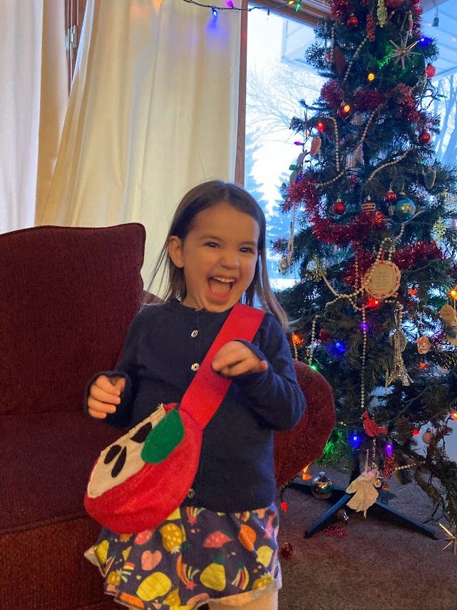 Christmas 2021: Apple Slice Purse