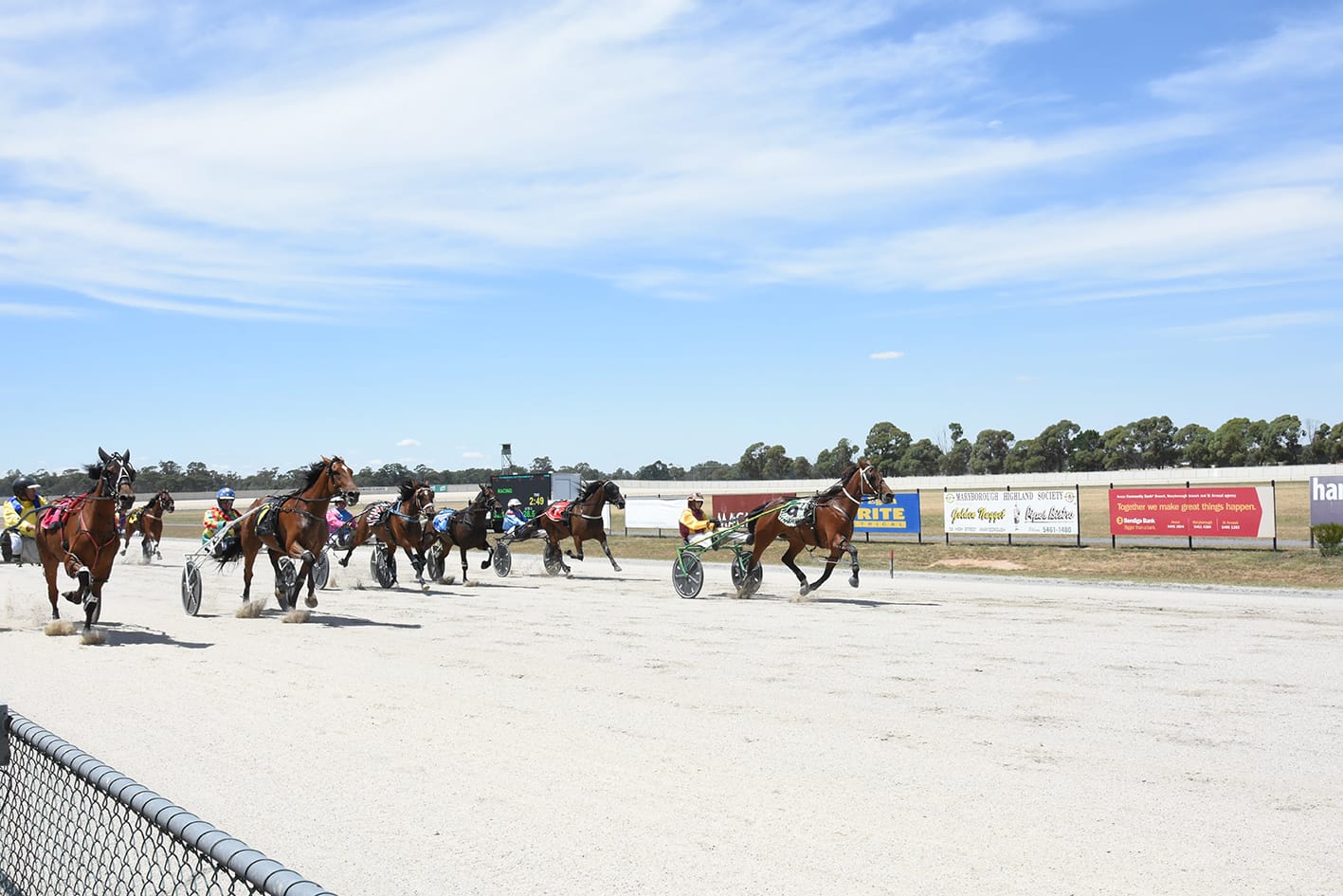 Group 2 Success for Catalpa Rescue
