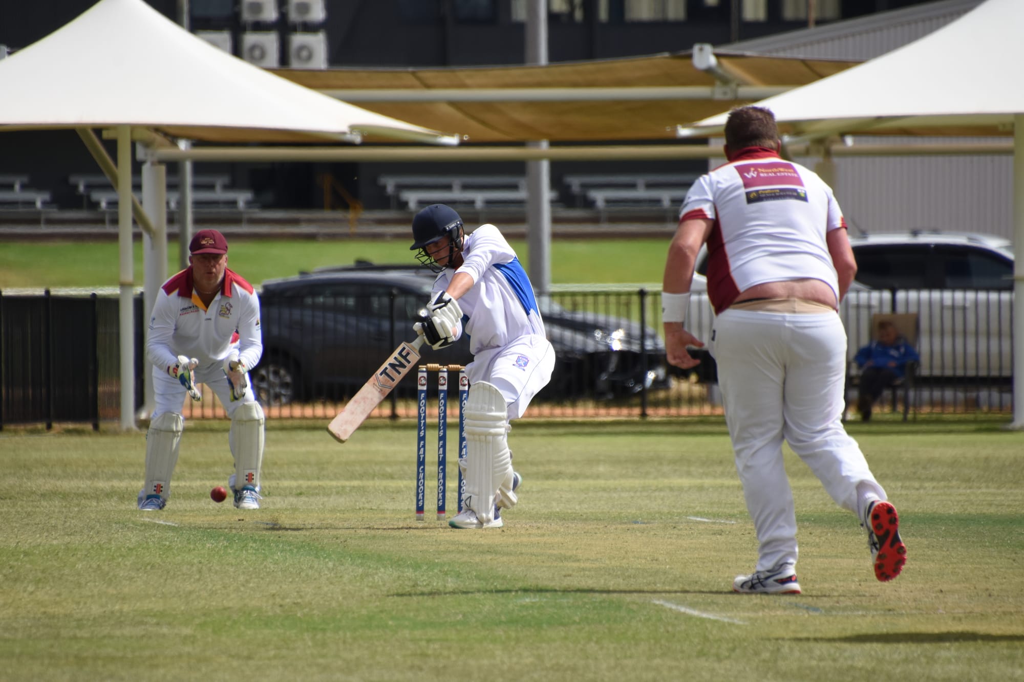 Noah, the Numbers Man