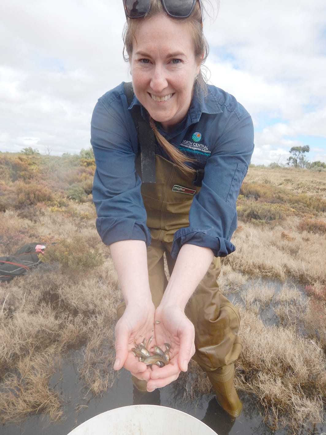 A Big Hardyhead Start for Critically Endangered Fish
