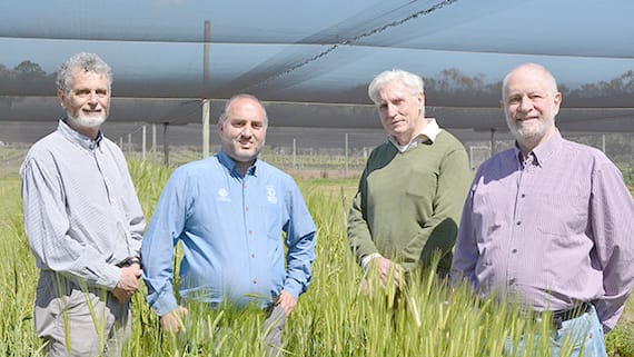 New Guide on Water Use for Dryland Cropping