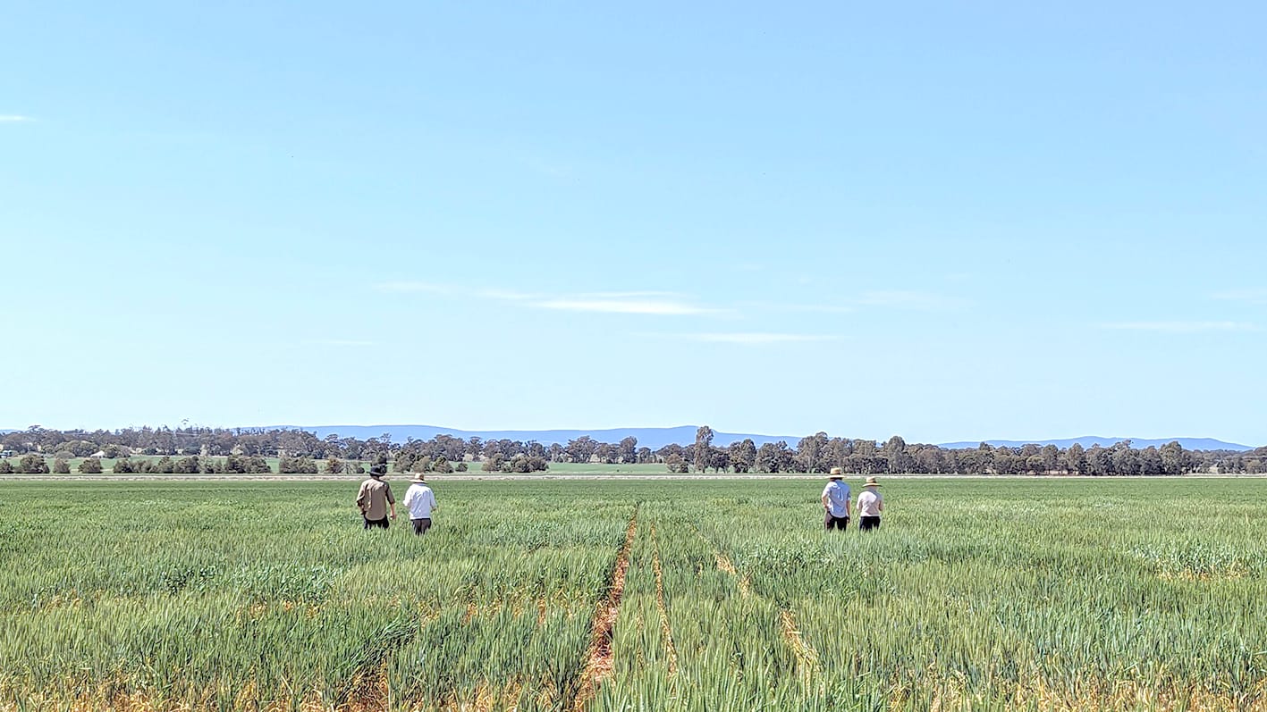 $1.9 Million Investment Into Climate-Resilient Crops