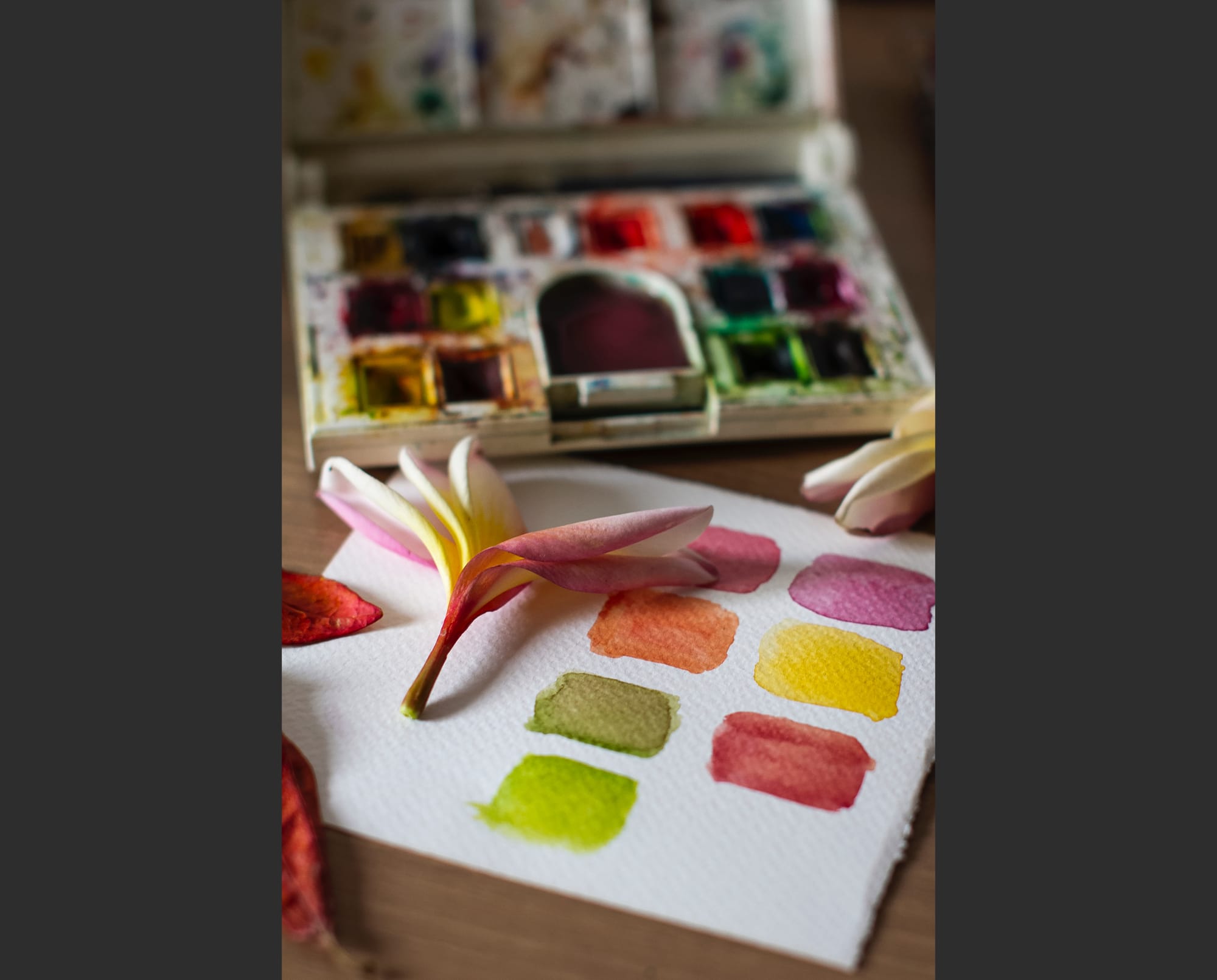 Forthcoming Exhibition – Diversity in Colour