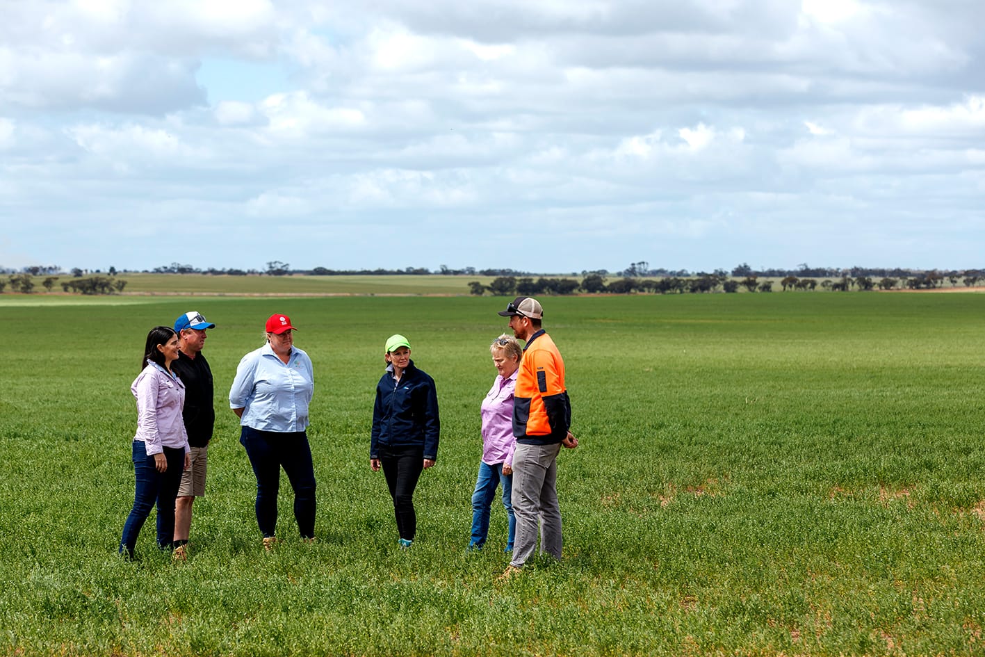 To Improve Farm Safety . . . Producers Grow Together