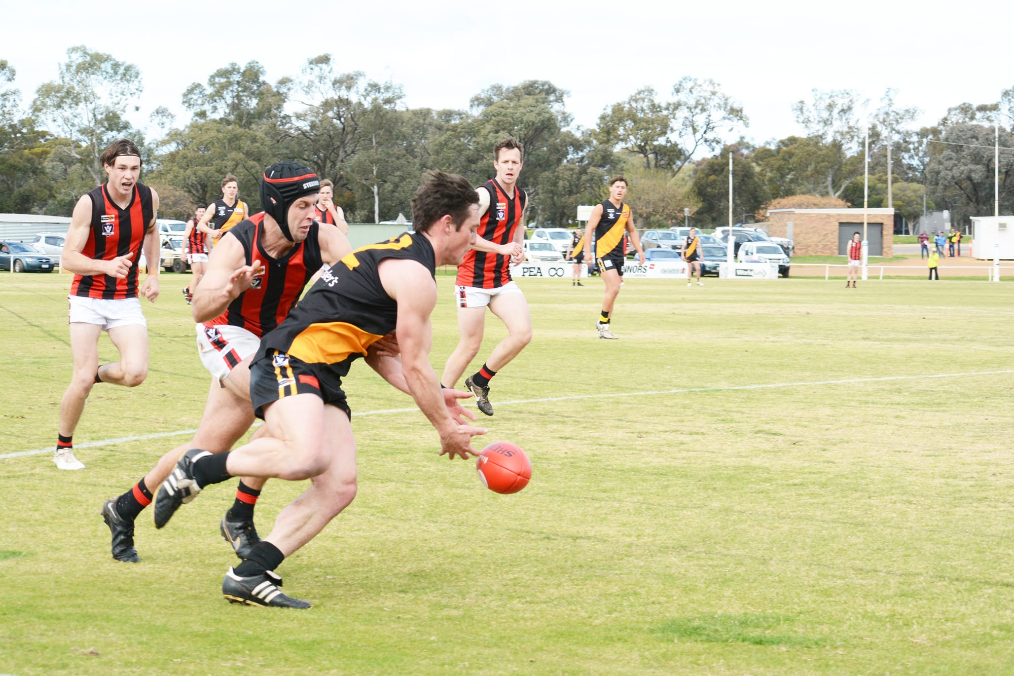 Tigers Tame Relentless Redbacks