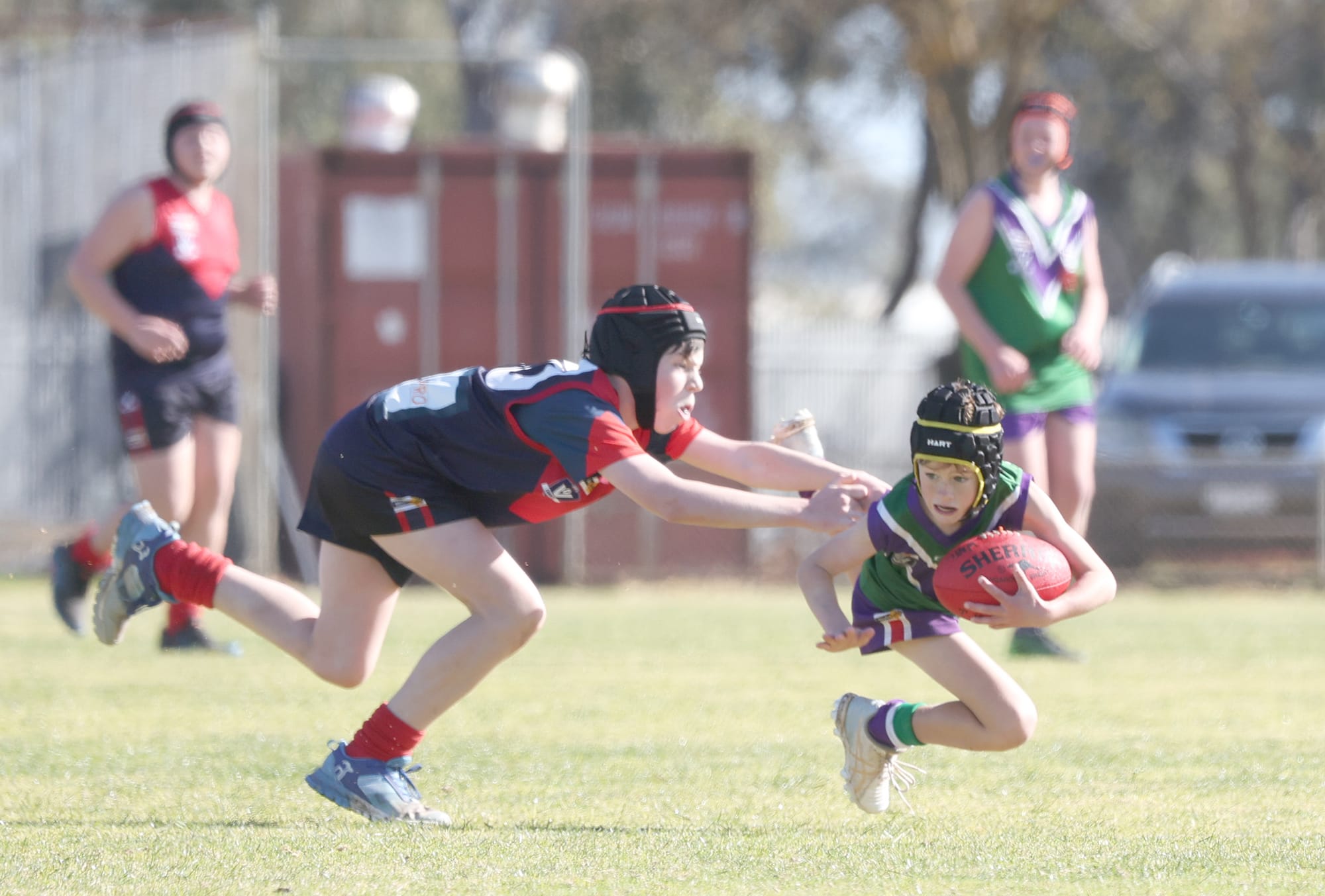Bulls Under-14s Dominate