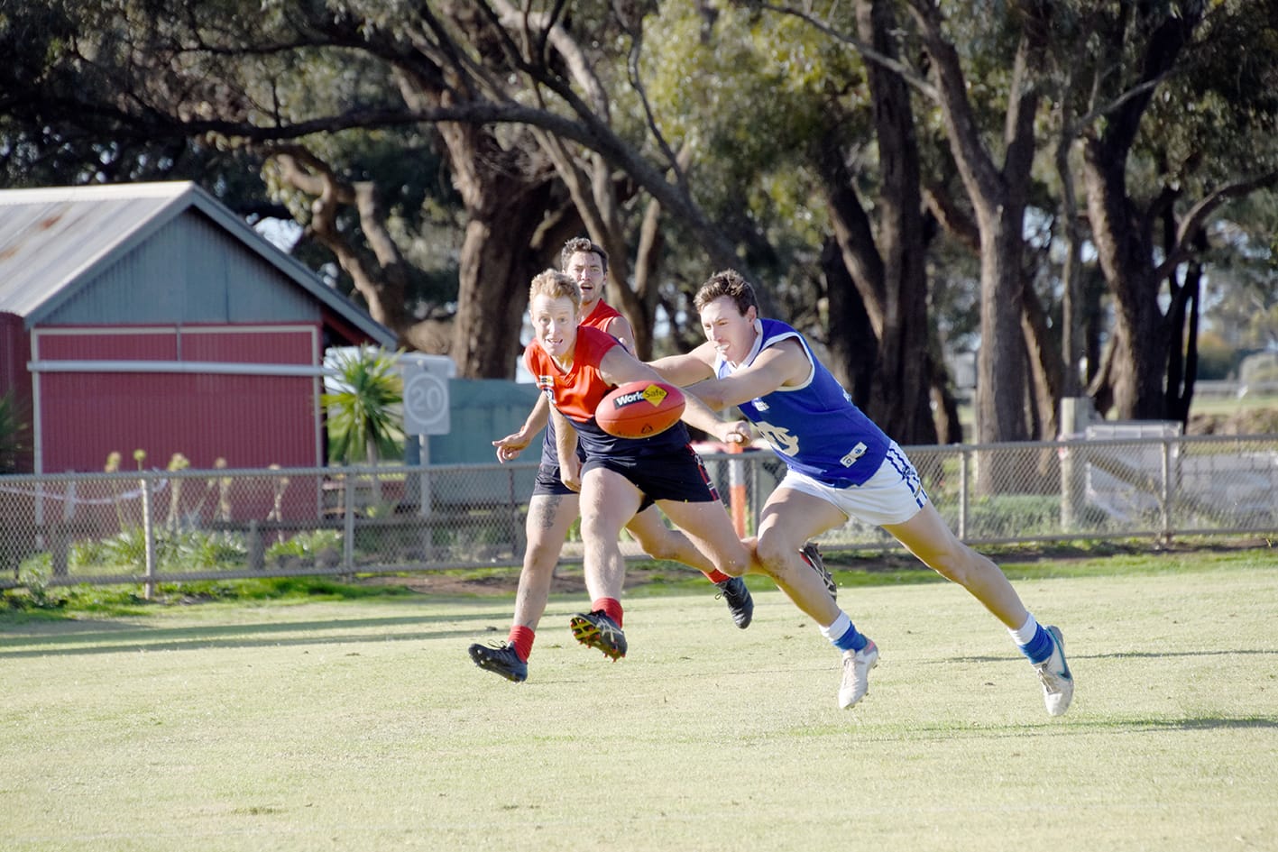 Donald Holds Off Determined Demons