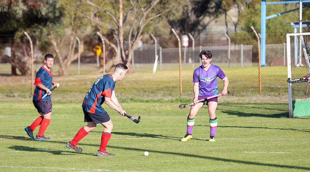 Bulls and Demons Share Hockey Honours
