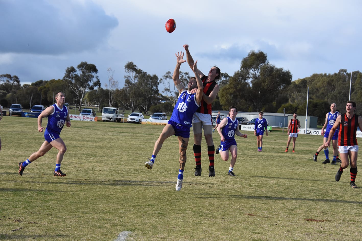 Redbacks or Royal Blues?